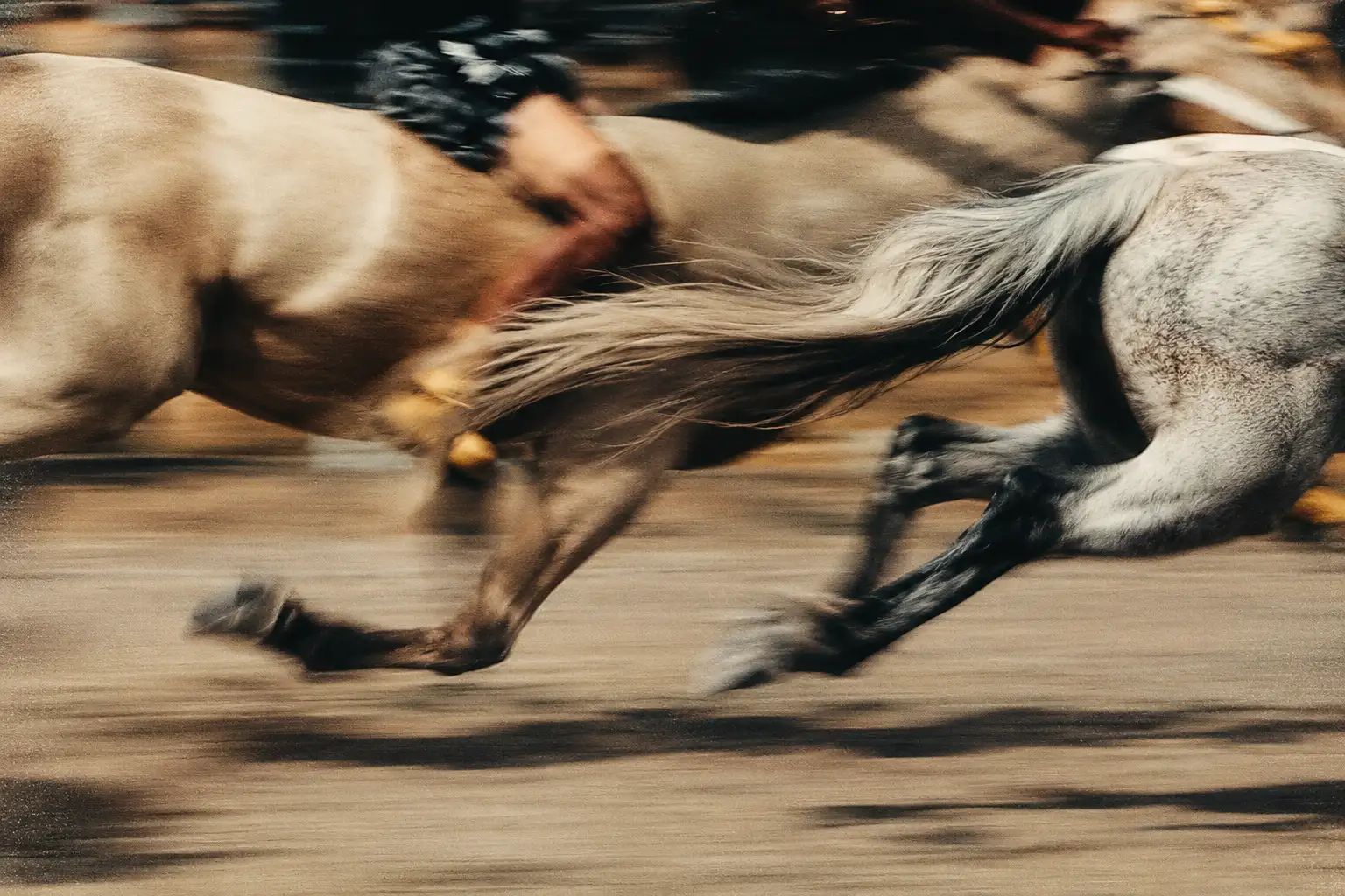 How Australian Business Owners Can Keep an Elementor Website Fast